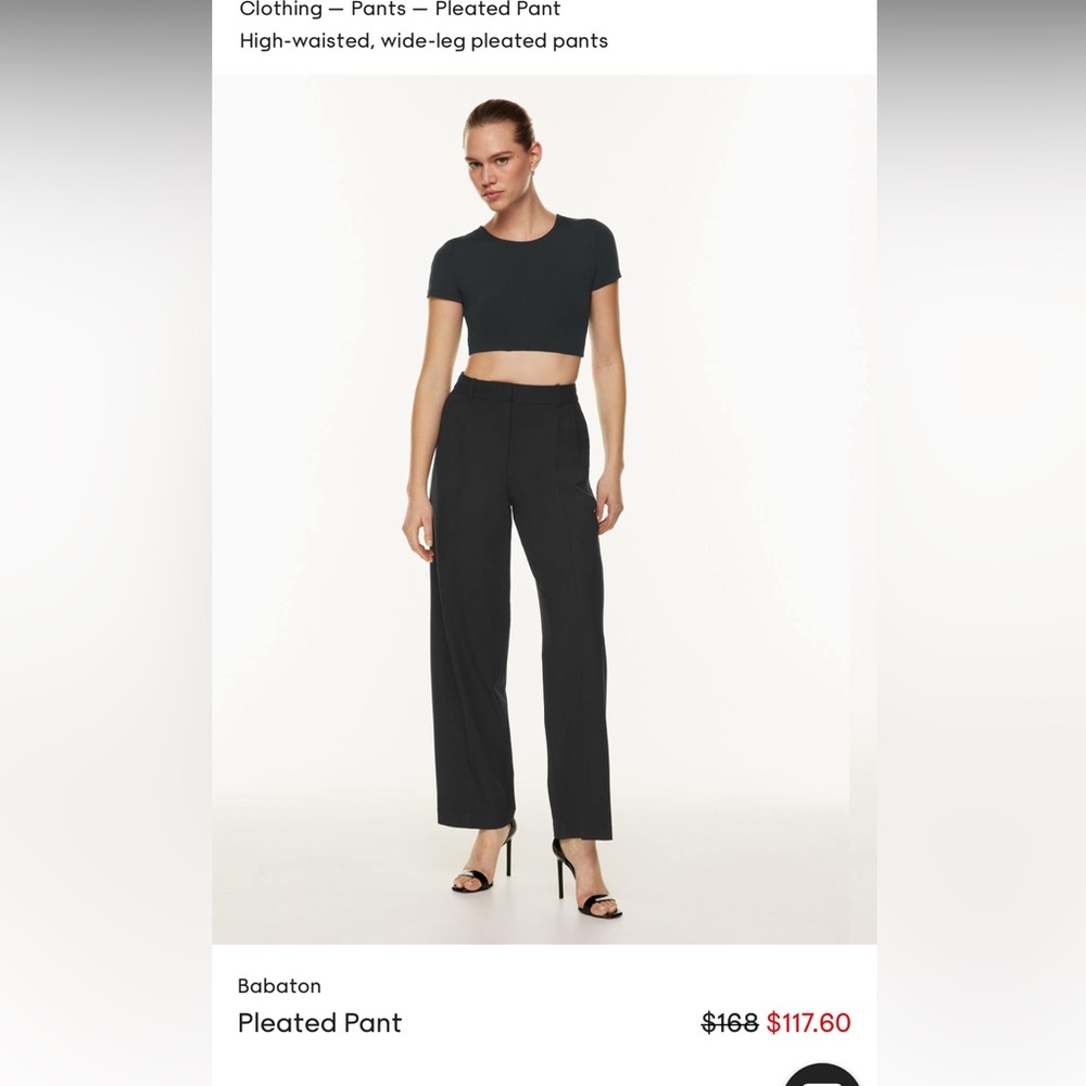 Babaton Aritzia Wool Pleated Trousers Business Casual Dress Pants